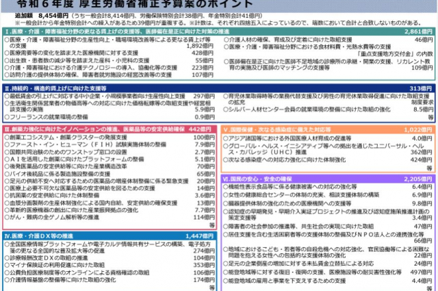 金引上げを中心とした令和6年度厚生労働省補正予算案のポイント